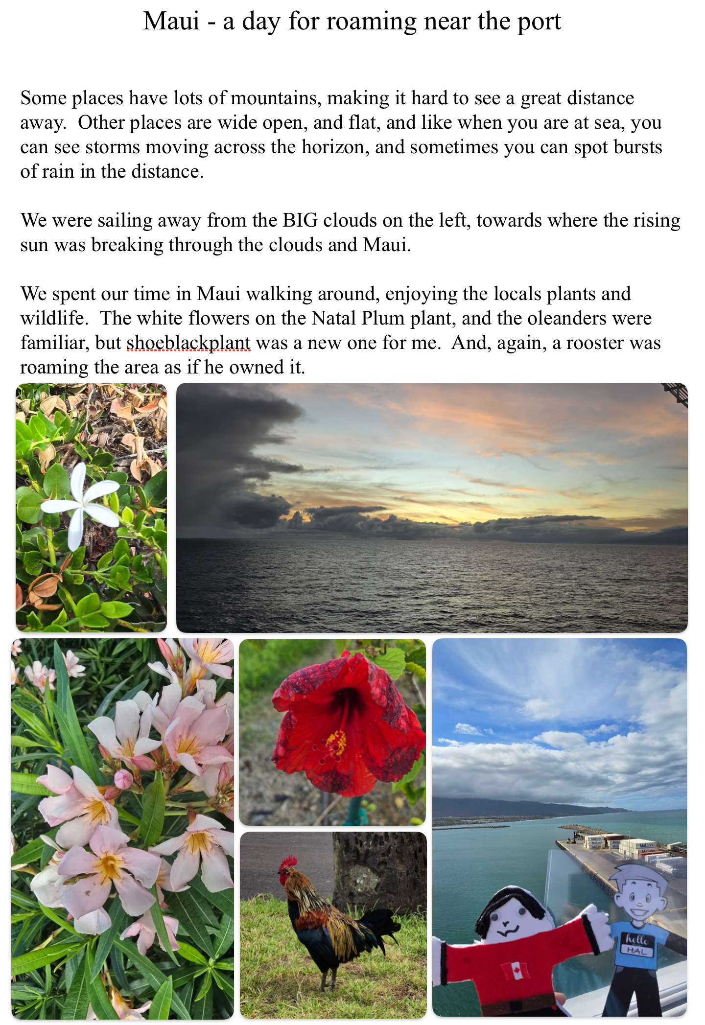 Maui – a day for roaming near the port