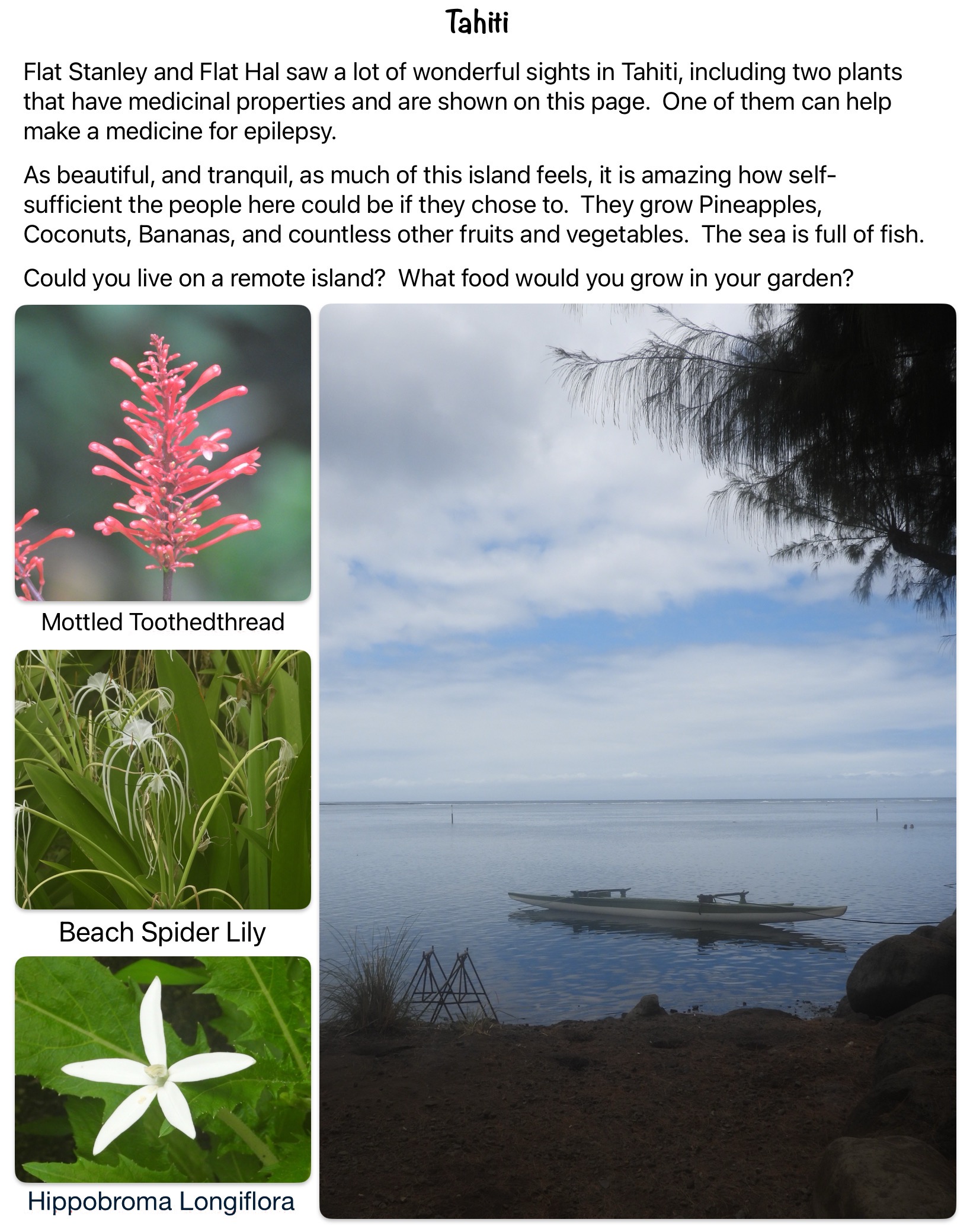 Flat Stanley and Flat Hal saw a lot of wonderful sights in Tahiti