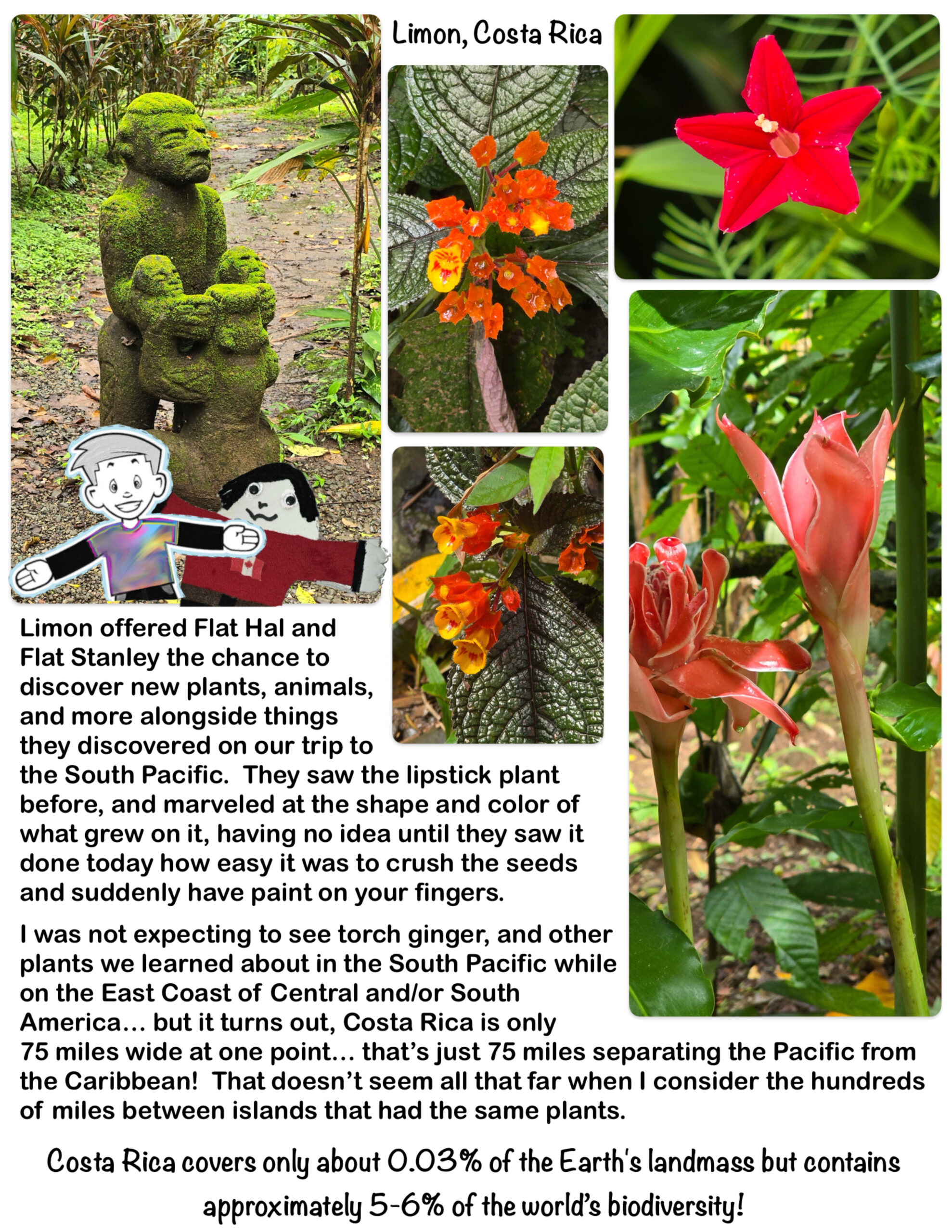 Costa Rica covers only about 0.03% of the Earth’s landmass but contains approximately 5-6% of the world’s biodiversity!