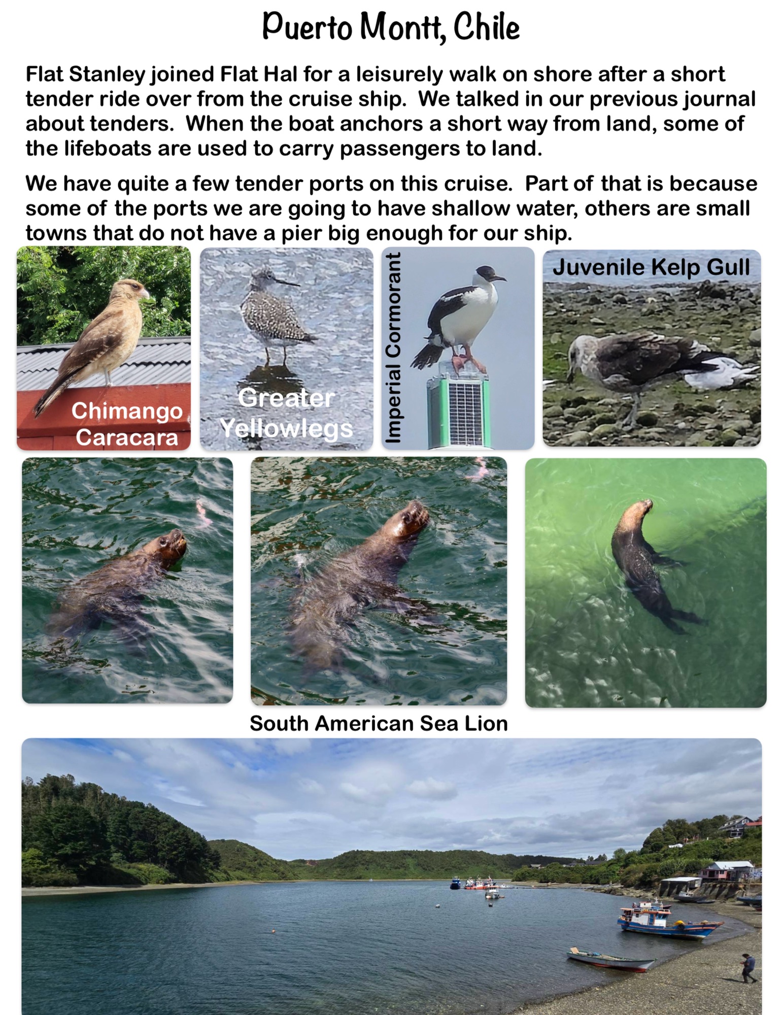 The Flat Fellas Visit Puerto Montt, Chile