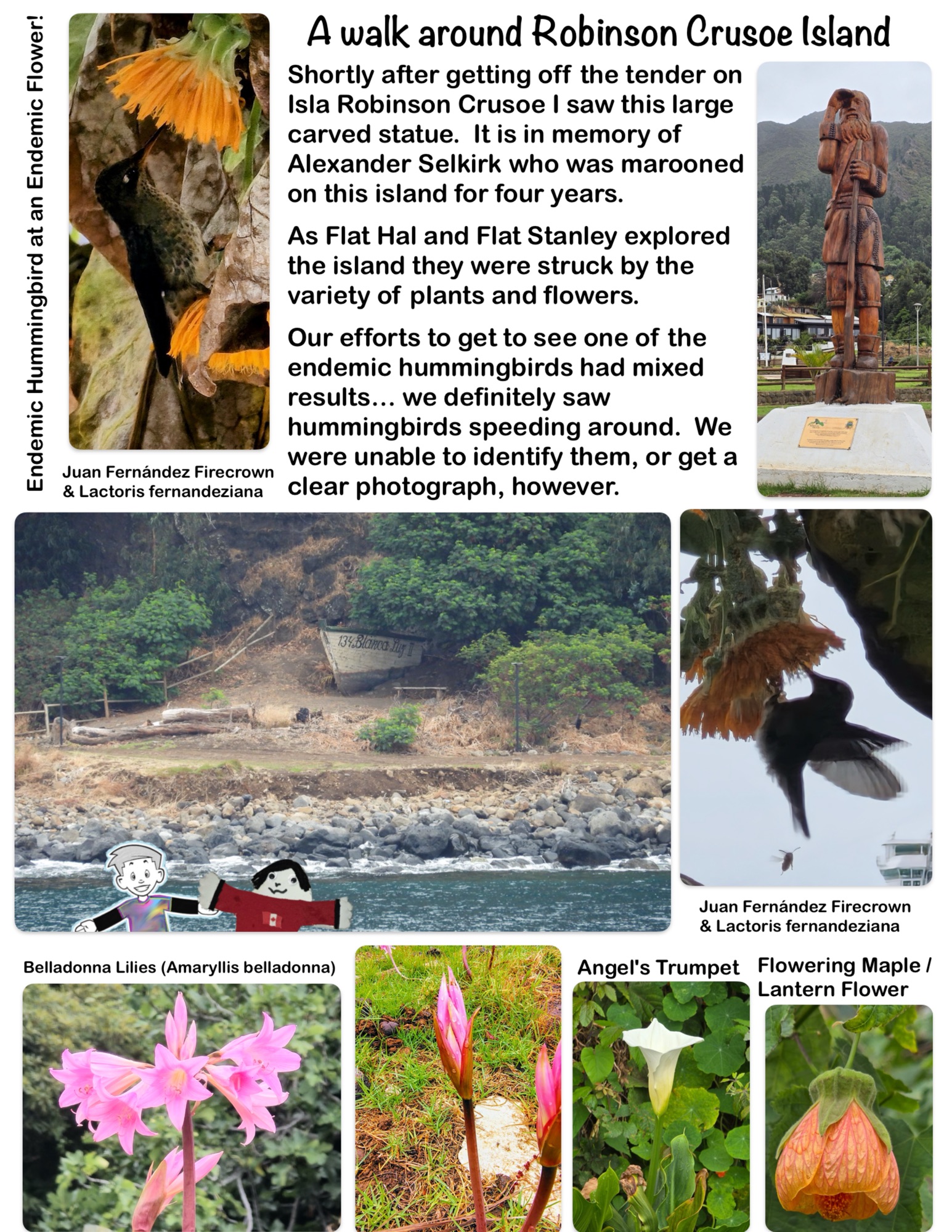 A walk around Robinson Crusoe Island