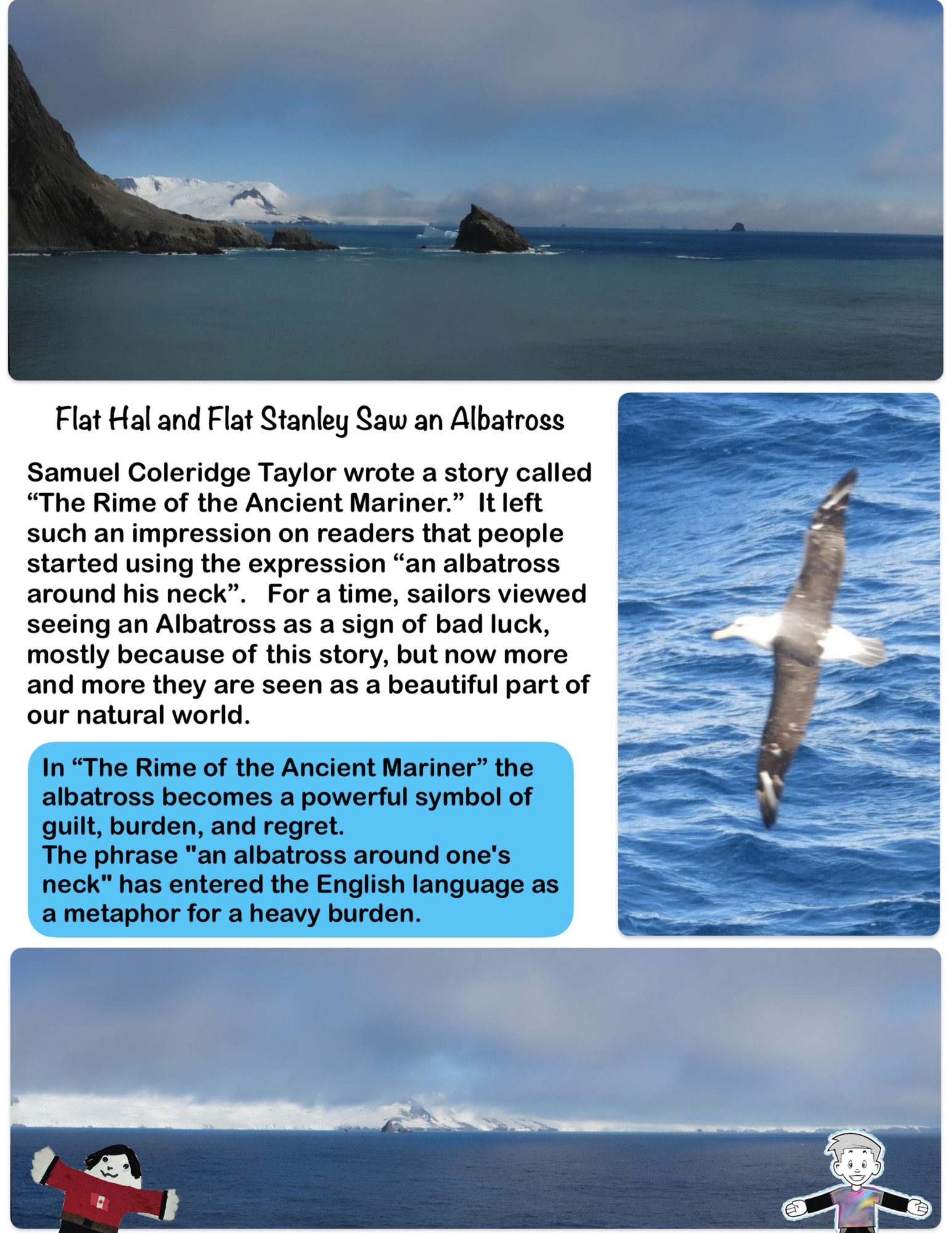 Flat Hal and Flat Stanley Saw an Albatross
