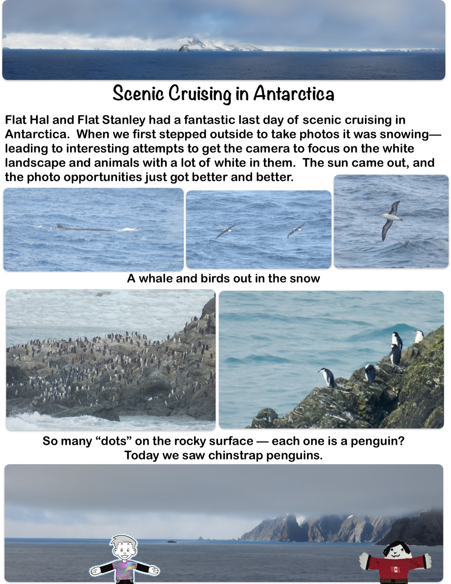 Scenic Cruising in Antarctica