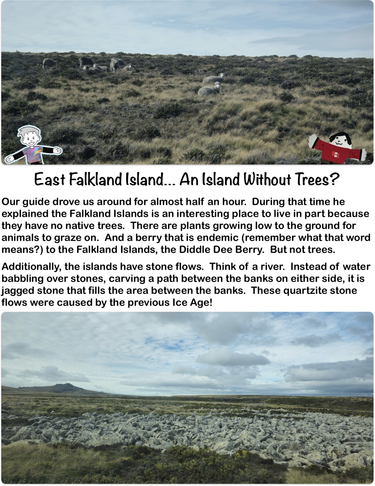 East Falkland Island… An Island Without Trees?