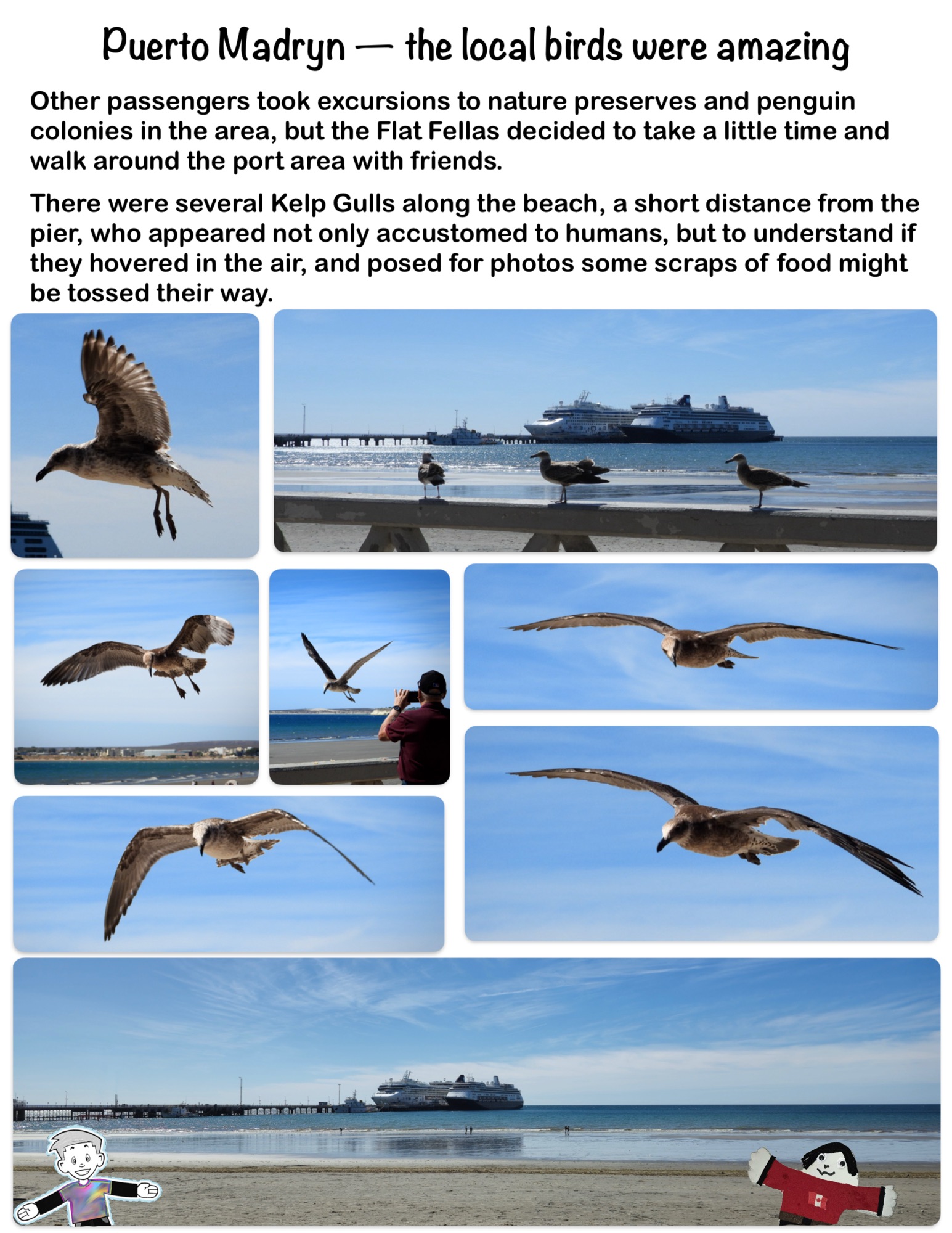 Puerto Madryn — the local birds were amazing