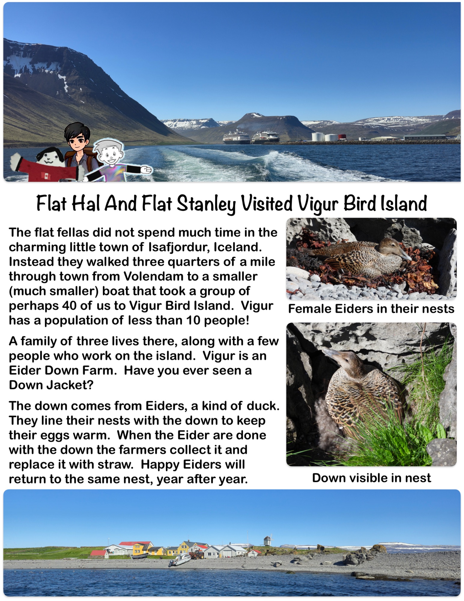 Flat Hal And Flat Stanley Visited Vigur Bird Island