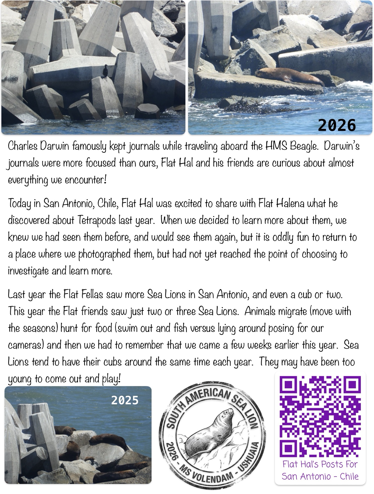 Flat Hal and Our Journals… Reflecting on San Antonio, Chile